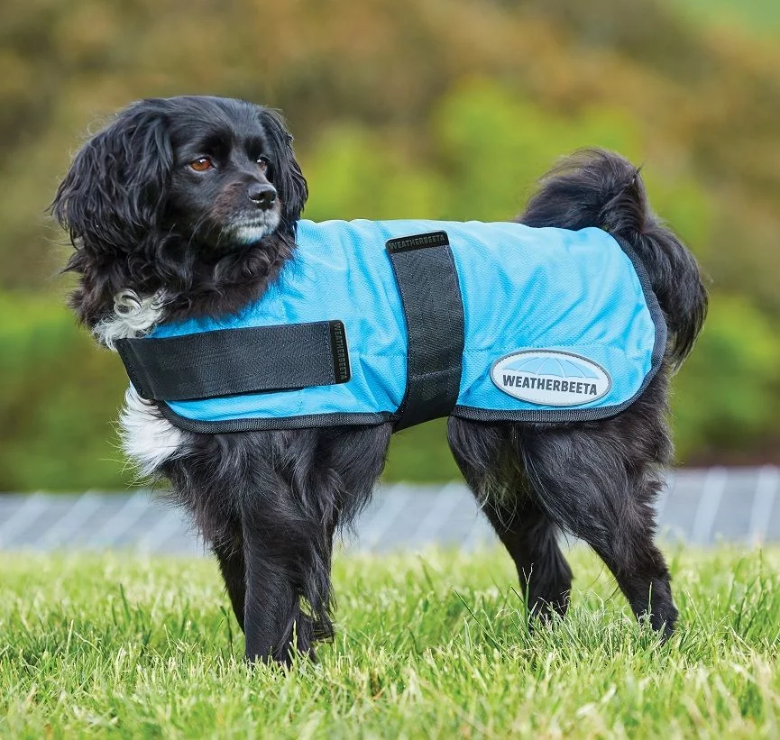 Weatherbeeta Therapy-Tec Cooling Dog Coat - Blue